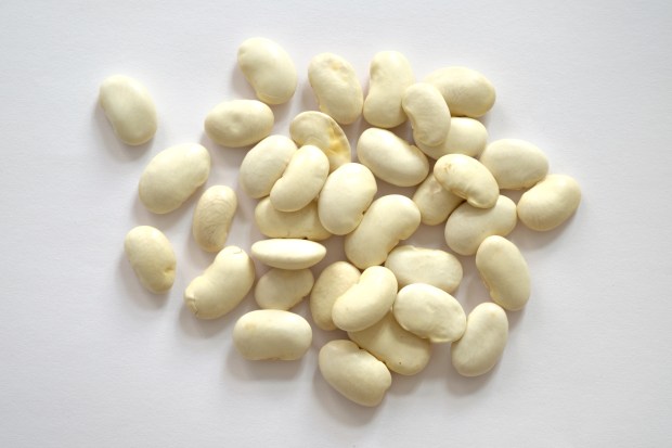 Tante_Lemi_Gladbach_Riesenbohnen_weiss