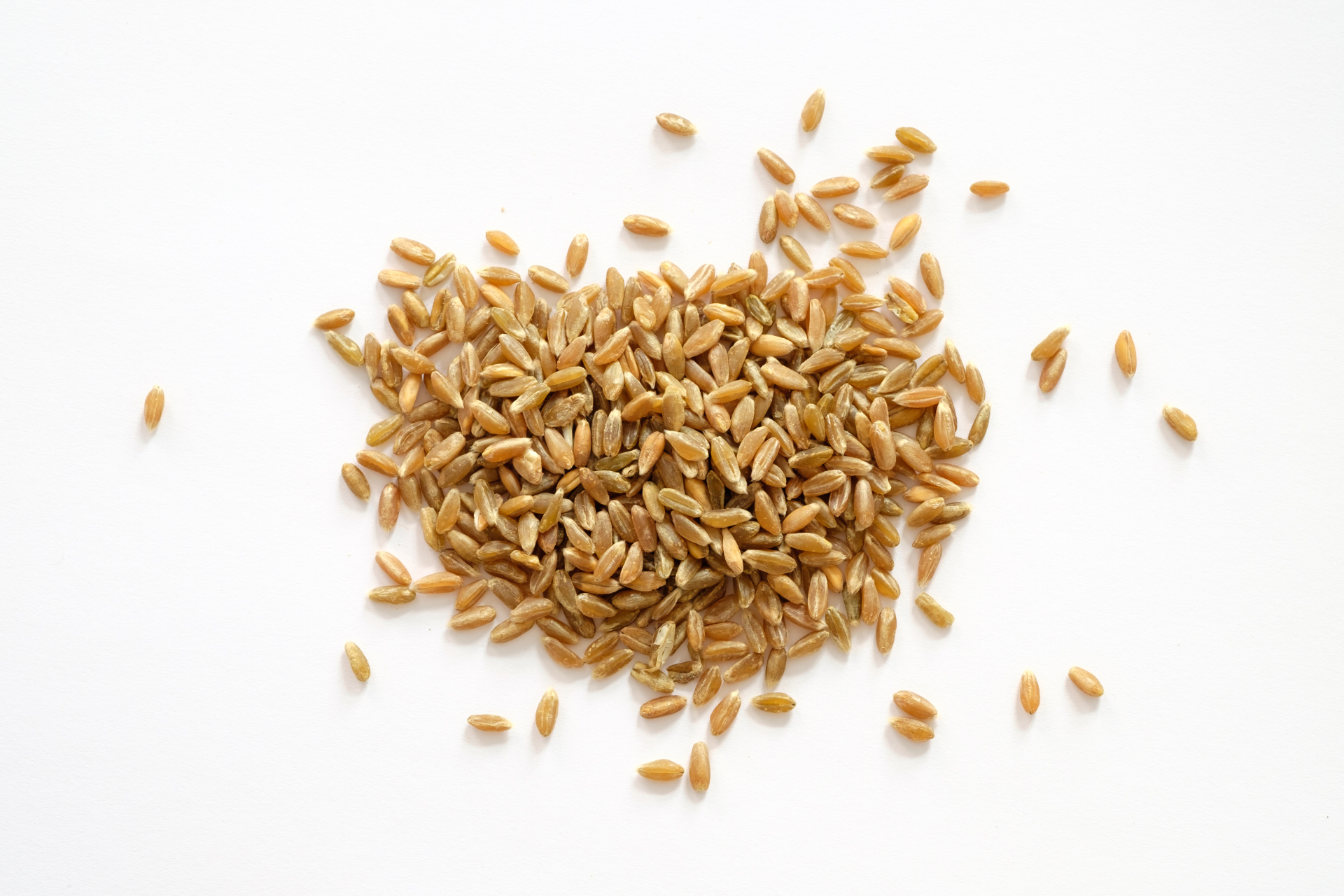 Tante_Lemi_Gladbach_Grünkern