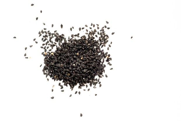 Tante_Lemi_Gladbach_Schwarzkümmel