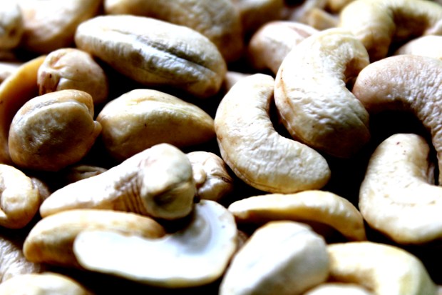 cashew-1402286_1920
