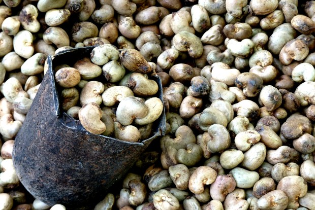 cashew-nut-52064_1920