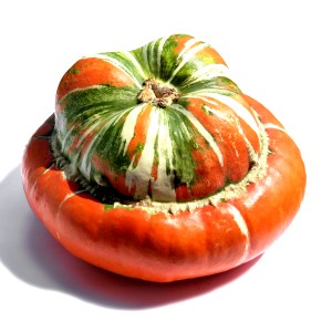 pumpkin-1559619_1920