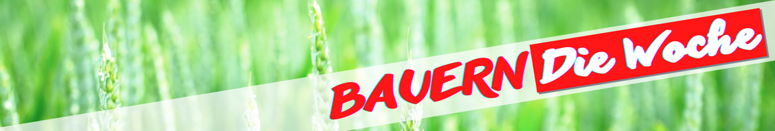 Kopie von Termine(2)